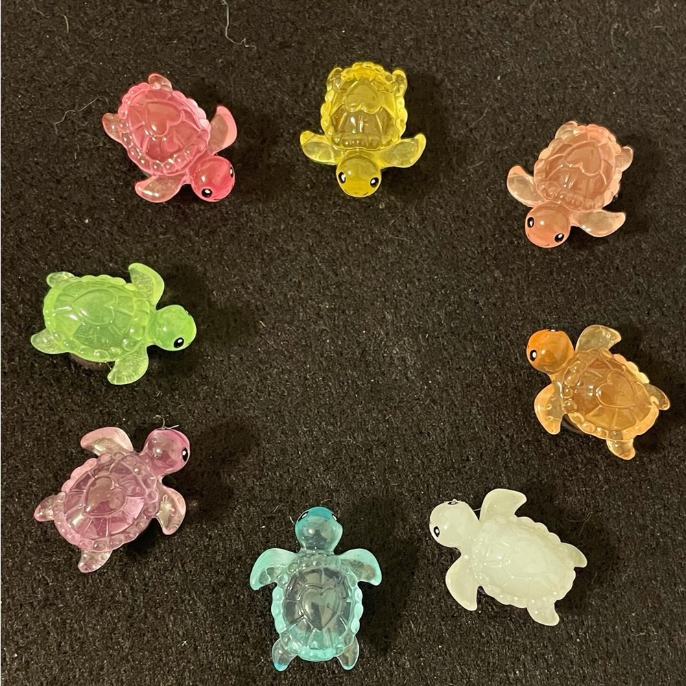 Turtle and cat magnets